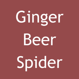 Ginger Beer Spider